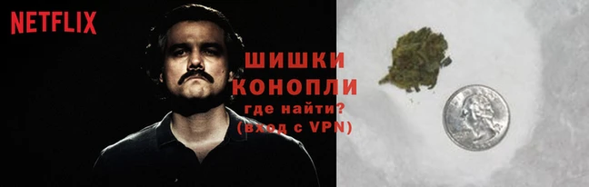 спайс Видное