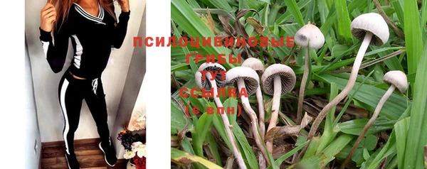 круглые Пересвет