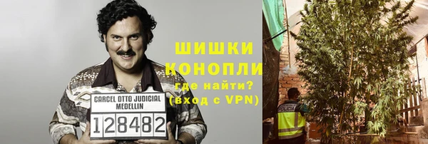 круглые Пересвет