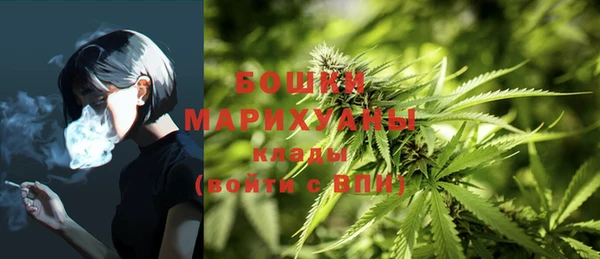 дживик Ветлуга
