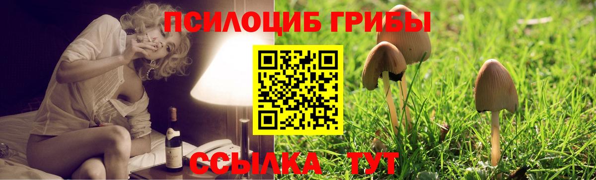 Псилоцибиновые грибы Magic Shrooms  Вход с VPN  Белебей 